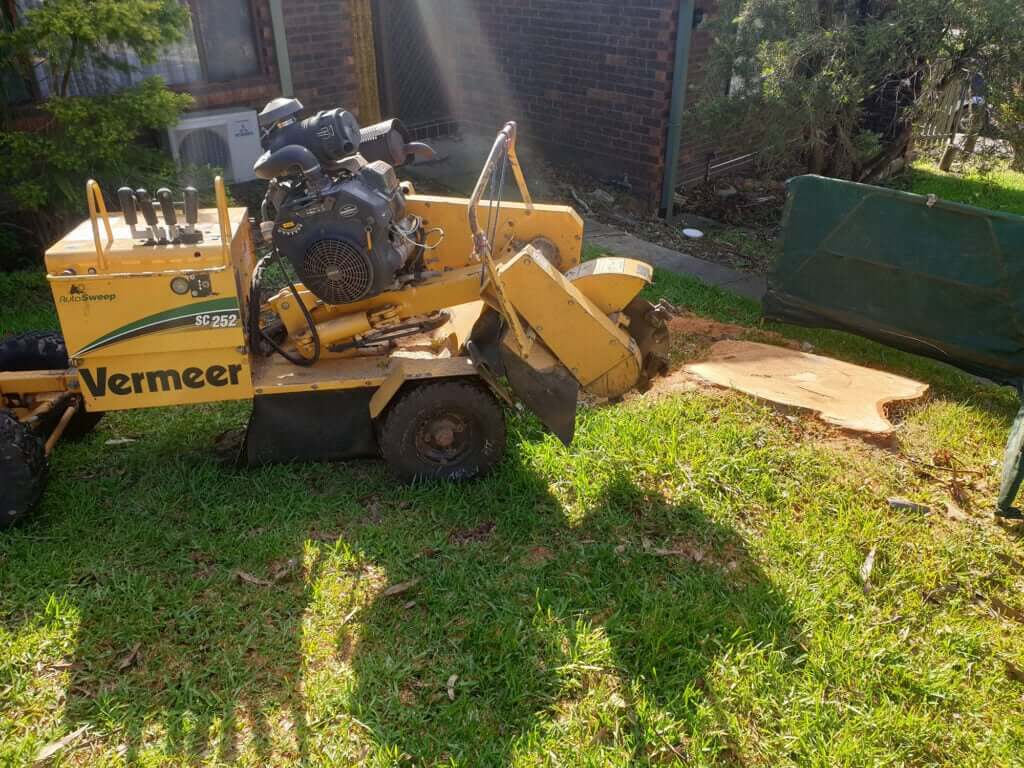 Tree Stump Removal