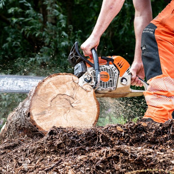 Tree Stump Grinding