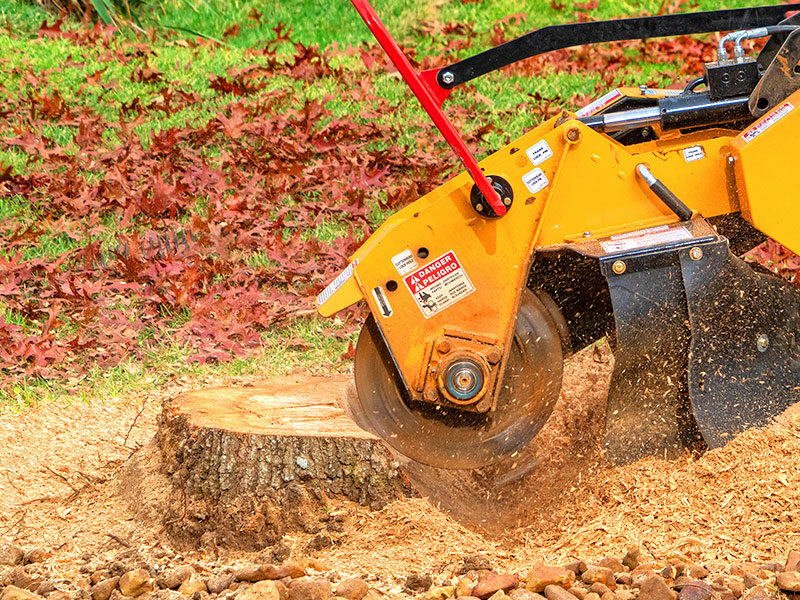 Tree Stump Grinding
